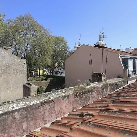 Estrela Design By Homing