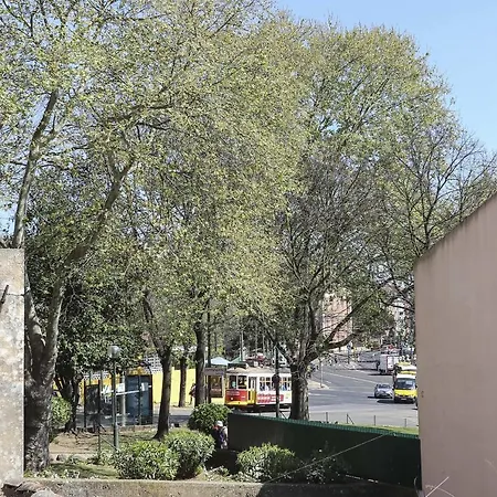 Estrela Design By Homing *